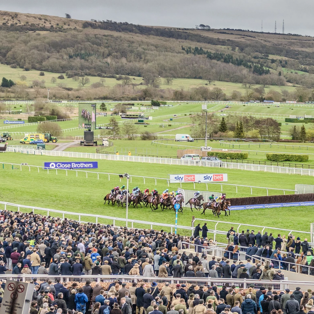 The Cheltenham Festival Edit